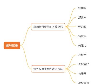 TikTok上的账号权重是怎样计算的